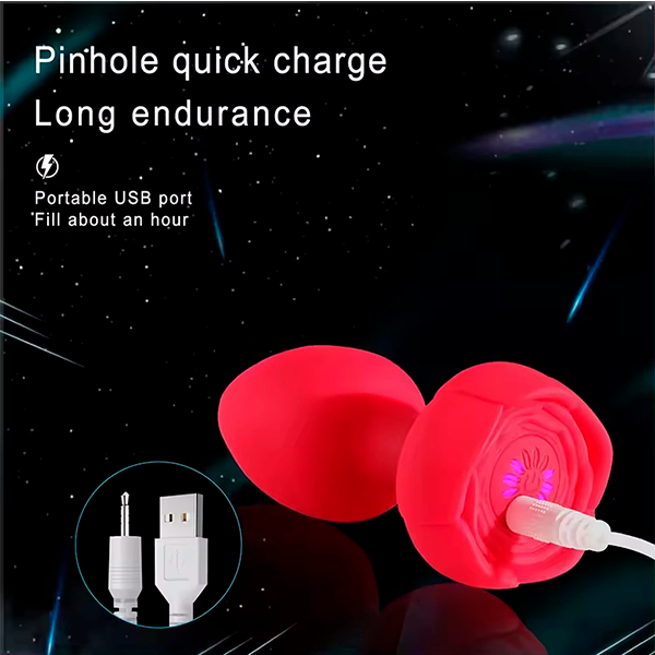 Plug Anal Vibrador a Control con Iluminación