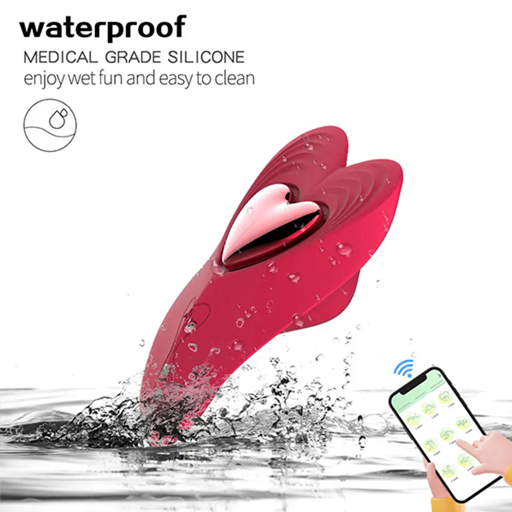 Vibrador USB braga pantaleta App