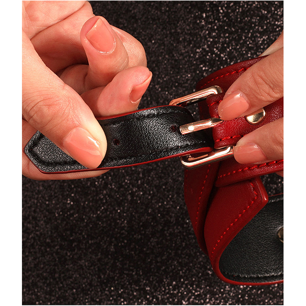 Kit Bdsm Bondage de 7 Piezas Premium Rojo