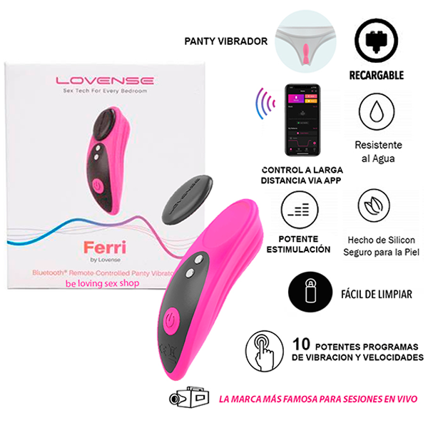 Vibrador Lovense Premium Ferry Panty