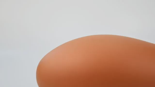 Tapon Anal Grueso XL